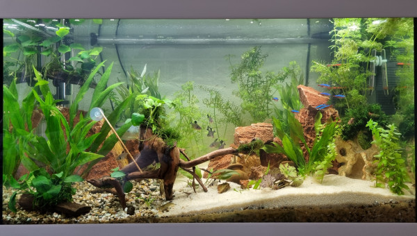 LE CANYON  OCCITAN fin juin 2023