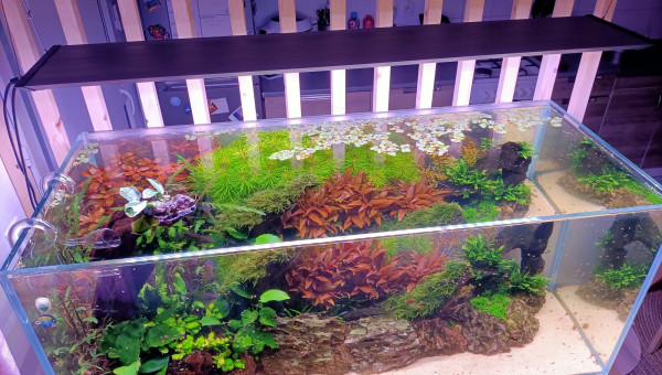 2 mois après la mise en eau