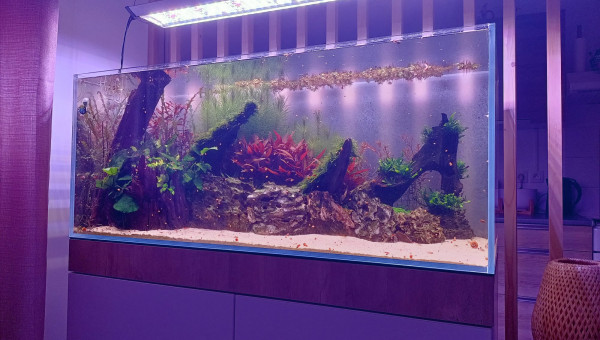 2 mois après la mise en eau