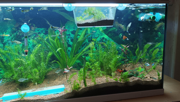 vu que la flaure ce sent mieux!