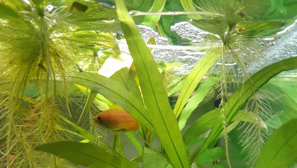 Surprise du Matin !!!