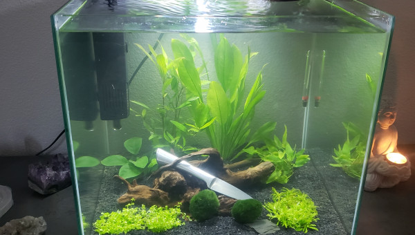 mon démarrage - bac 54L