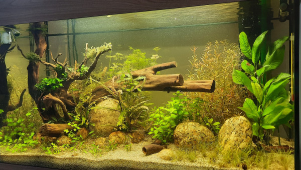Rio 125l