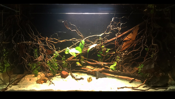 Quelque jours après