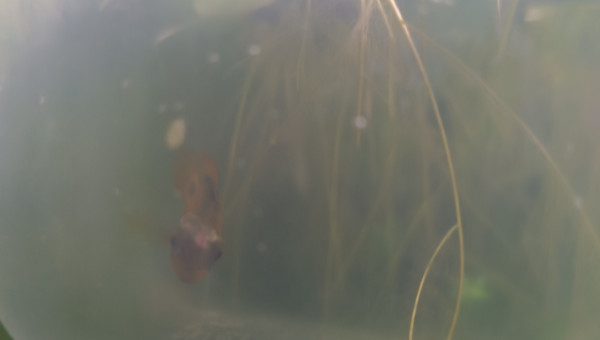 Retour des vacances et...gros bobo!