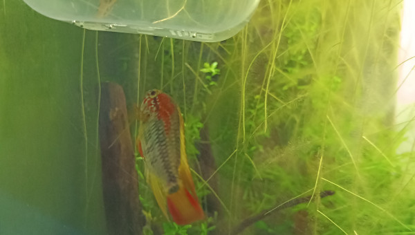 Retour des vacances et...gros bobo!