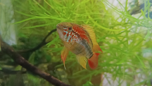 Retour des vacances et...gros bobo!