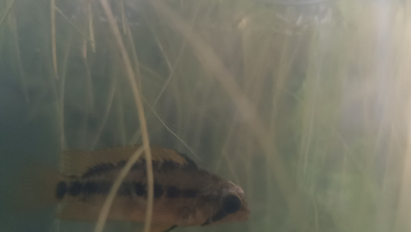 Retour des vacances et...gros bobo!