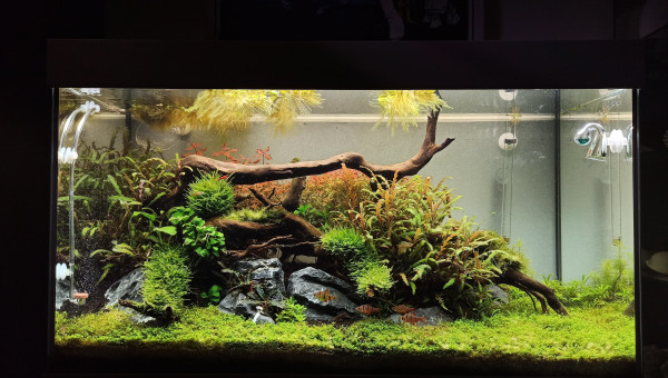 On reprend les choses en main !