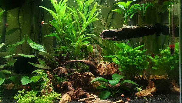 Objectif bac terminé en septembre,  atteint ??