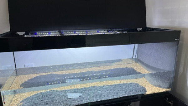 Nero - mise à l'eau