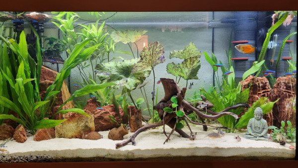 LE CANYON  OCCITAN fin septembre 2023