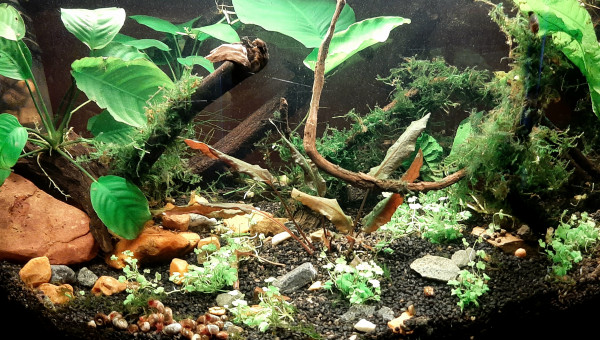 Ça avance tranquillement