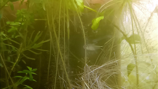 Retour de pique nique !