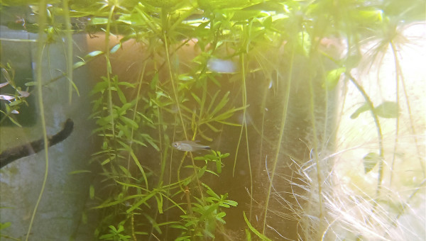 Retour de pique nique !