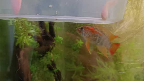 Retour de pique nique !