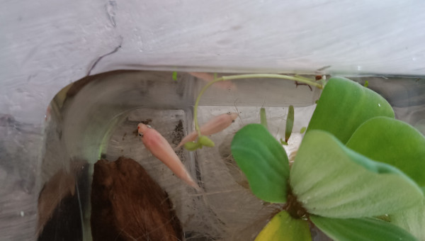 Retour de pique nique !