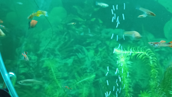 couleur de l'eau avec traitement large spectre