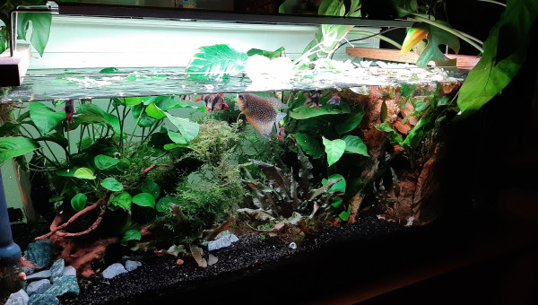 Modification de la position de la rampe.