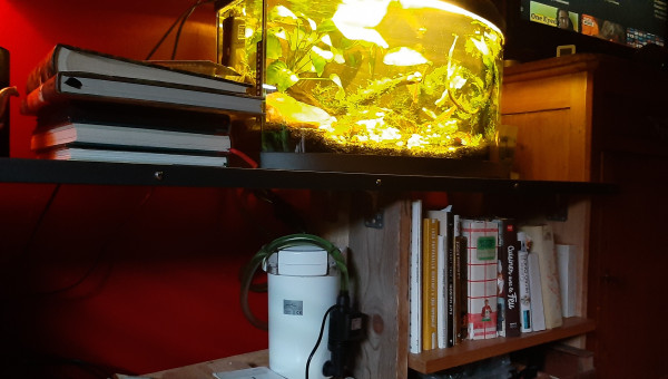 Installation du filtre Sunsun HW 603b