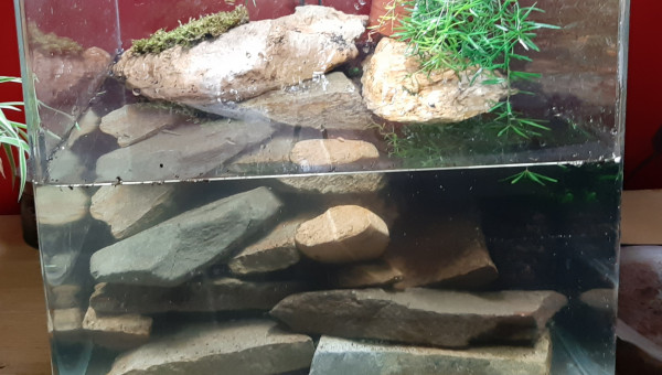 Expérimentation d'une cascade