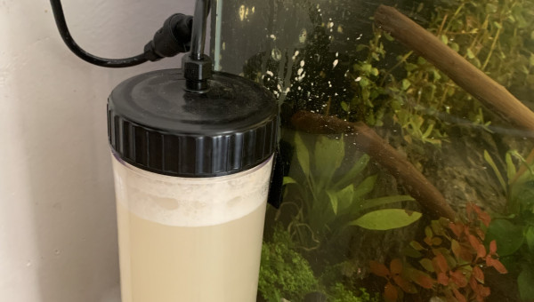 Petit problème avec le kit co2