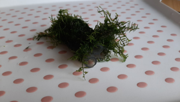 Cachette à gribites