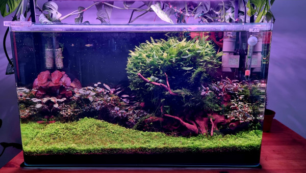 Evolution après 1 an