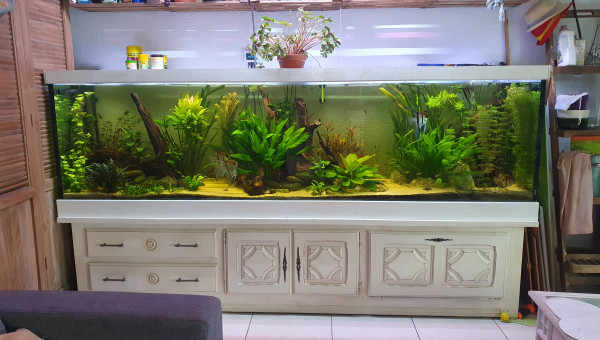 Meuble enfin terminé