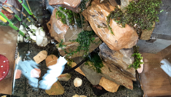 Derrière la cascade