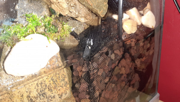 Derrière la cascade