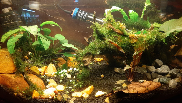 Pas encore satisfait de l'ensemble