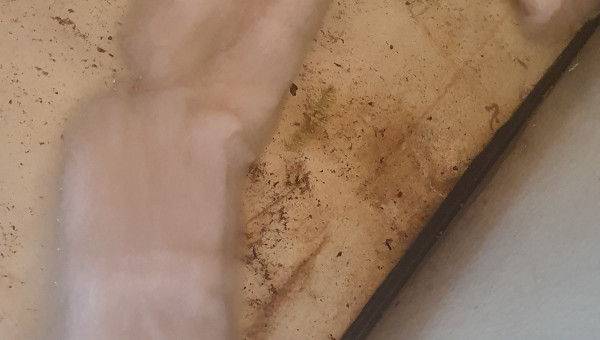 Création de zones cachées sous le sol