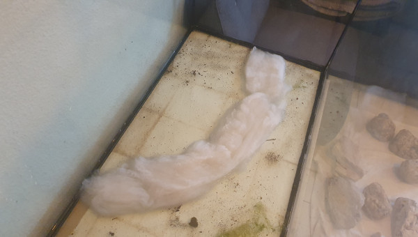 Création de zones cachées sous le sol