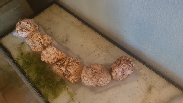 Création de zones cachées sous le sol