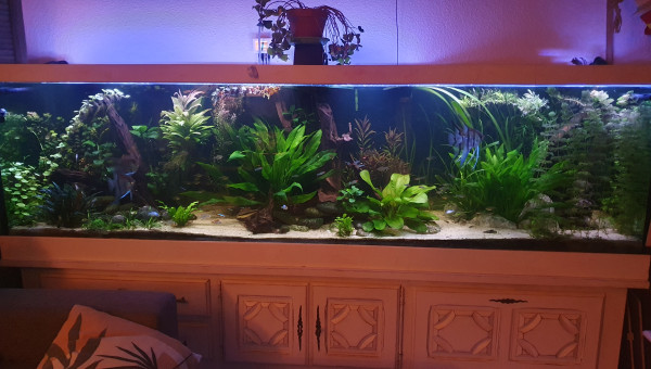 Et enfin le bac que vous connaissez