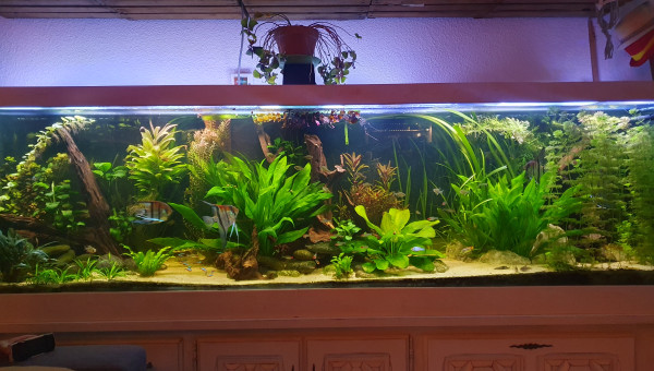 Et enfin le bac que vous connaissez