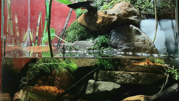 Ajout de feuilles mortes