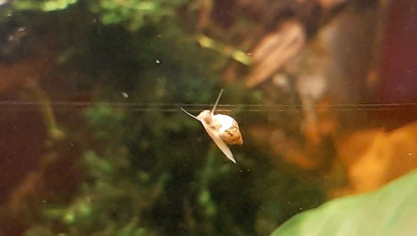 I believe I can flyyyyy