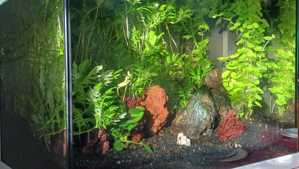 Vue d'ensemble matinale