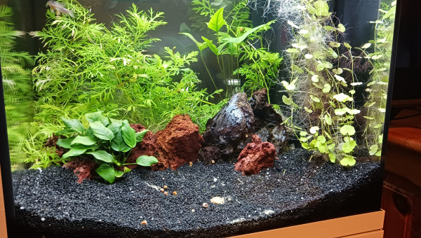 Vue d'ensemble by night ...