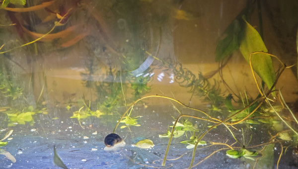 Le monde à l'envers...