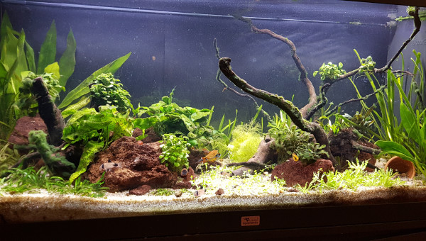 C'est pas encore parfait mais ça va mieux :)