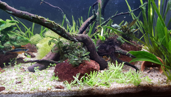 C'est pas encore parfait mais ça va mieux :)