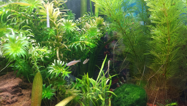 les locataires ont pris leurs marques