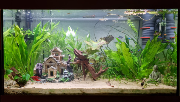 LE CANYON  OCCITAN en décembre 2023