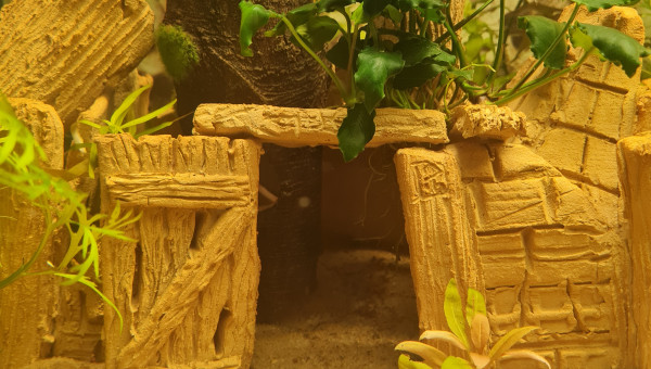 Satisfait du substrat