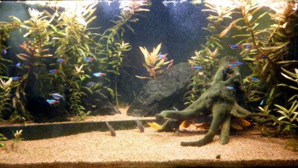 La polulation a déménagé