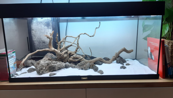 Aquascape en cours!!