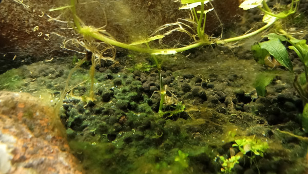 Difficile à démarrer avec cette cuve